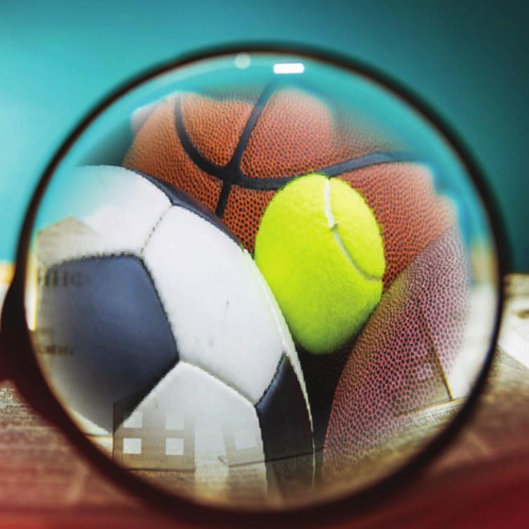 FOCUS ON SPORTS