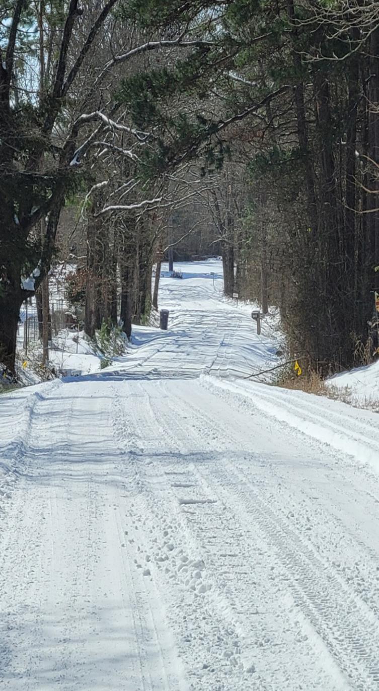 Polar Vortex leaves Shreveport- Bossier frozen in place
