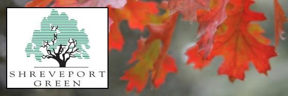 Get your free tree on Nov. 4