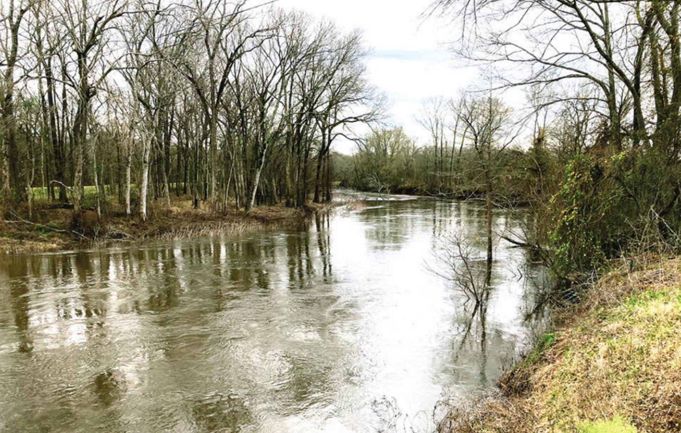Red Chute Bayou level is high but still plenty of capacity after days of rainfall