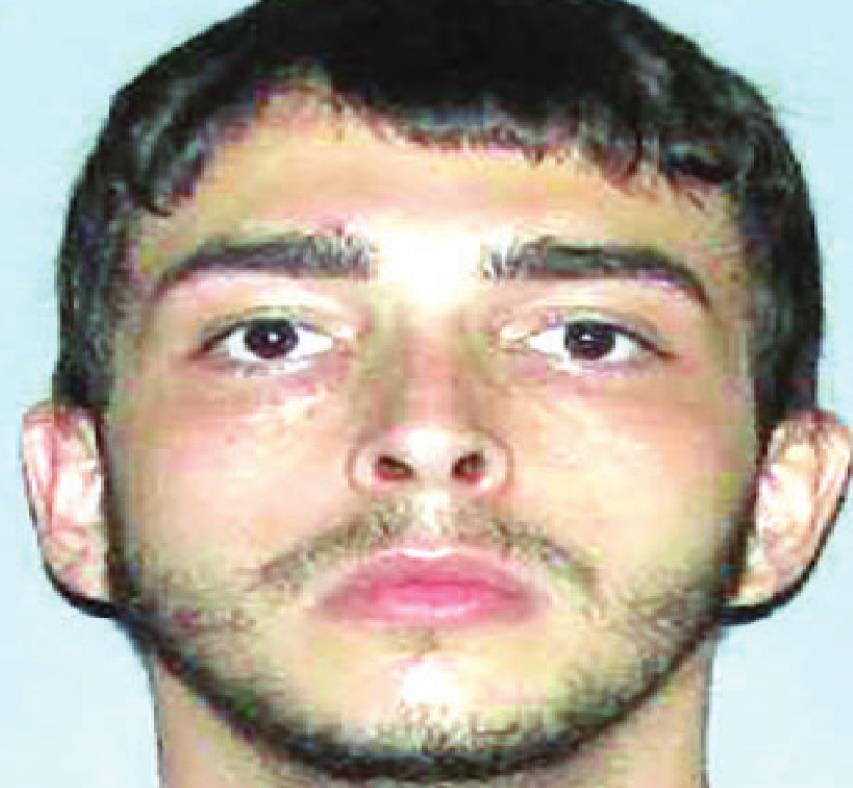 Car burglar arrested after crashing into residence