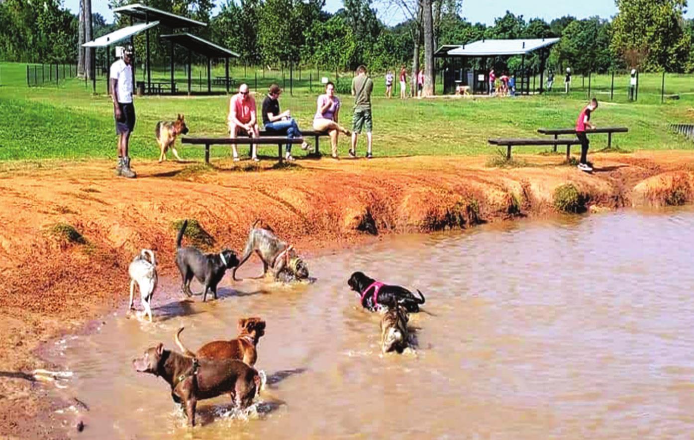 Every dog has his day at local park