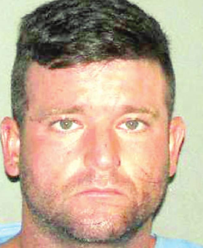 Domestic abuser pleads guilty to several charges