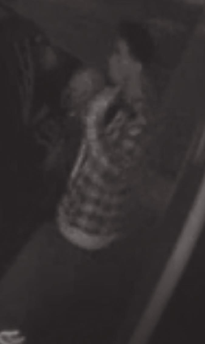 Police seek ID of vehicle burglary suspect
