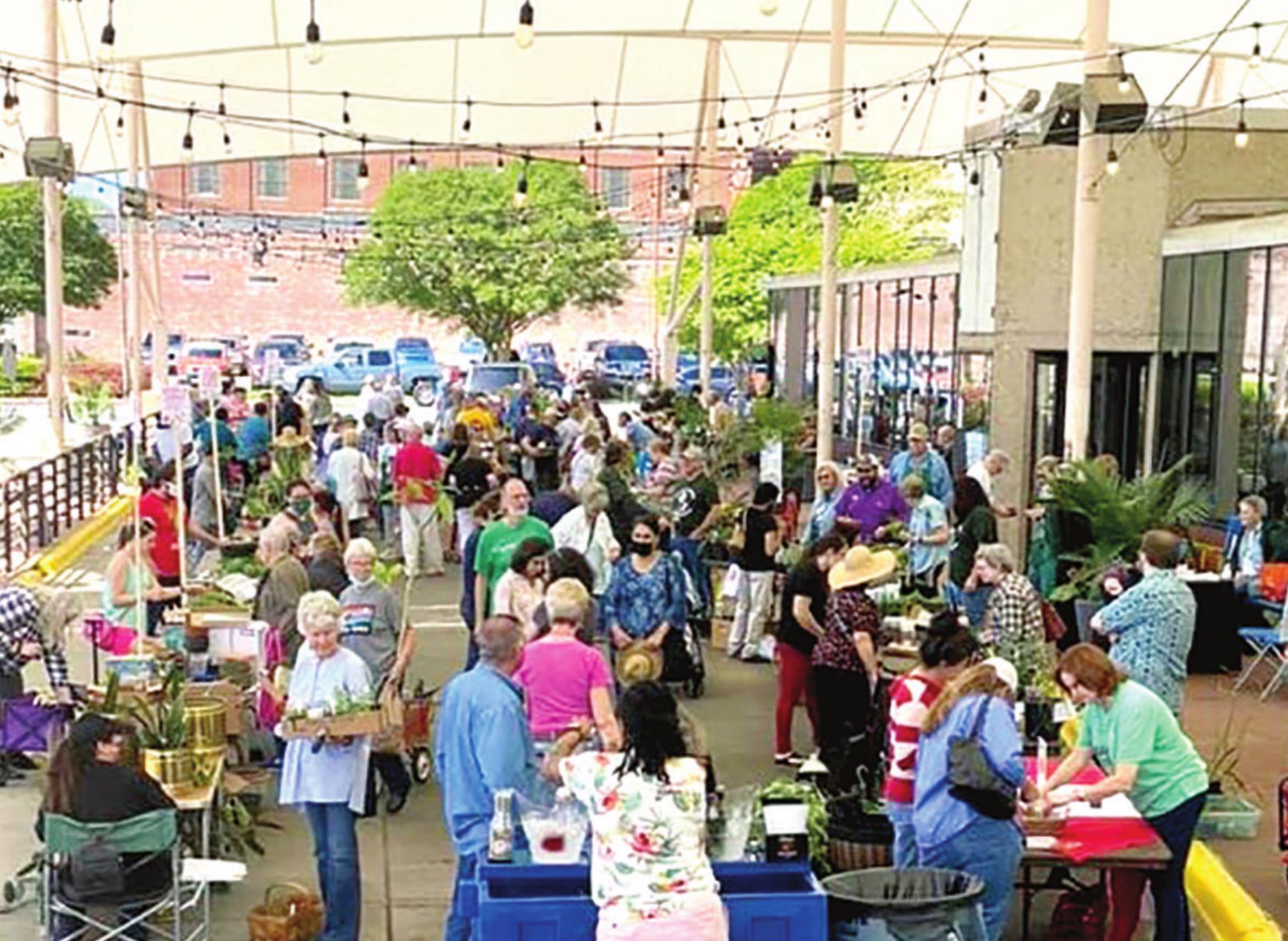 Downtown Plant Sale returns April 9