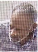 Police seek man who stole tools