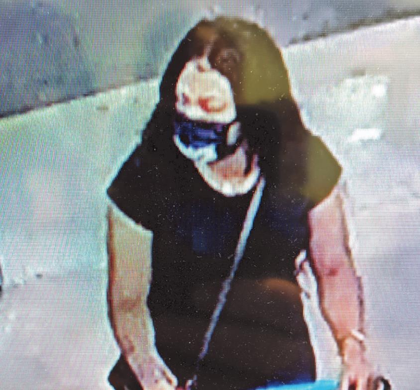 Police seek theft suspects