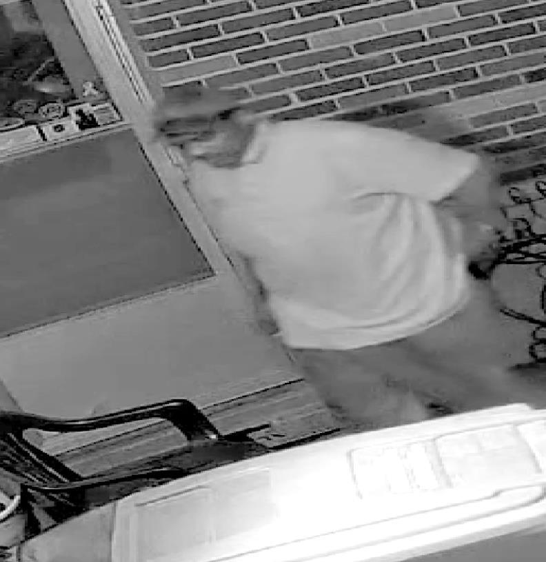 Police seek identity of suspect in W. Cavett theft