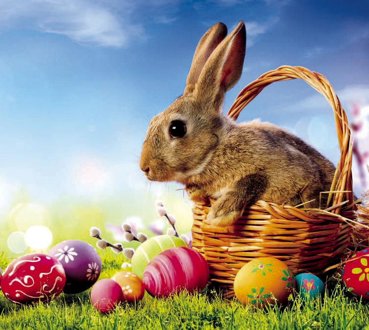 What's the Origin of the Easter Bunny?