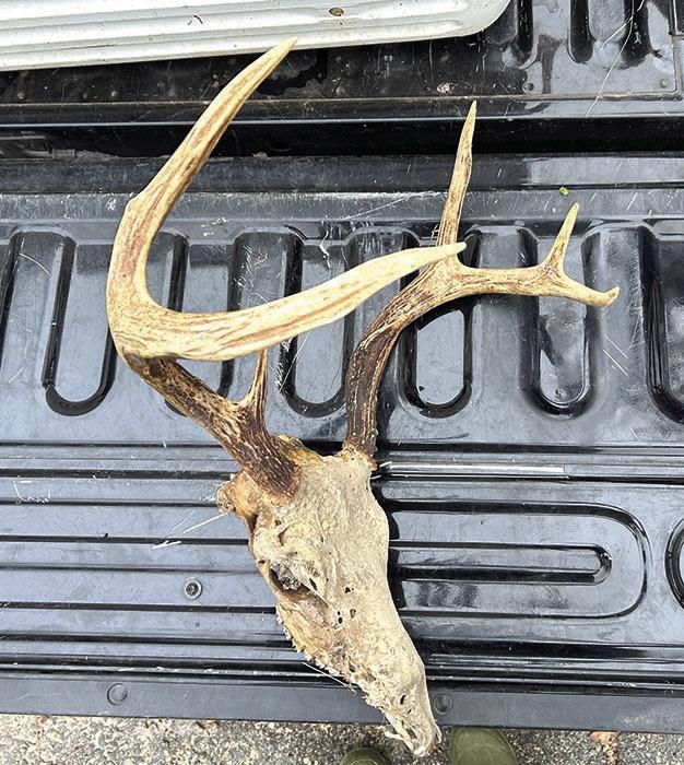 LDWF agents cite Caddo man for deer hunting violations