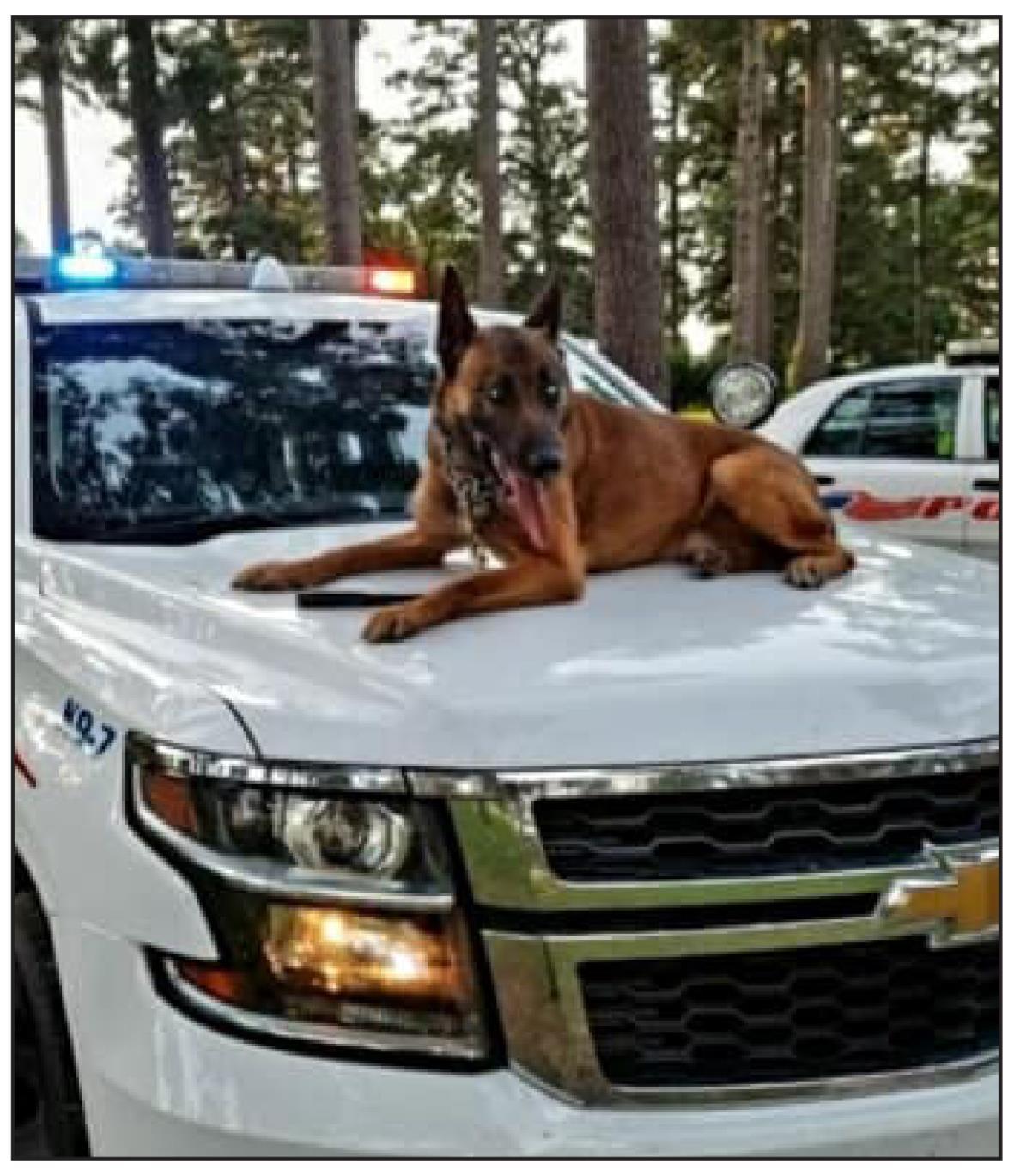 Shreveport Police K-9 dies of natural causes
