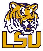 LSU escapes South Carolina with 36-33 W!
