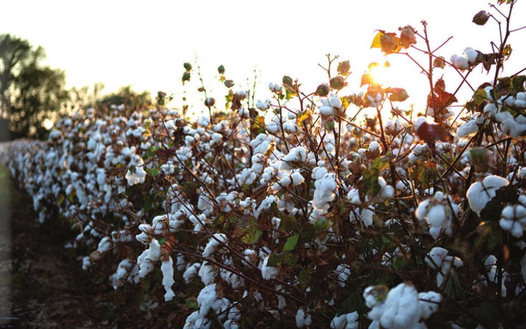 Fall Heritage & Harvest Tour