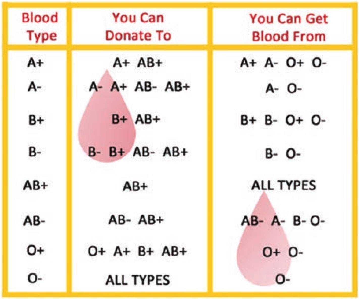 Type AB is vital part of blood donation