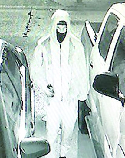 Suspect sought in Shady Grove vehicle burglaries