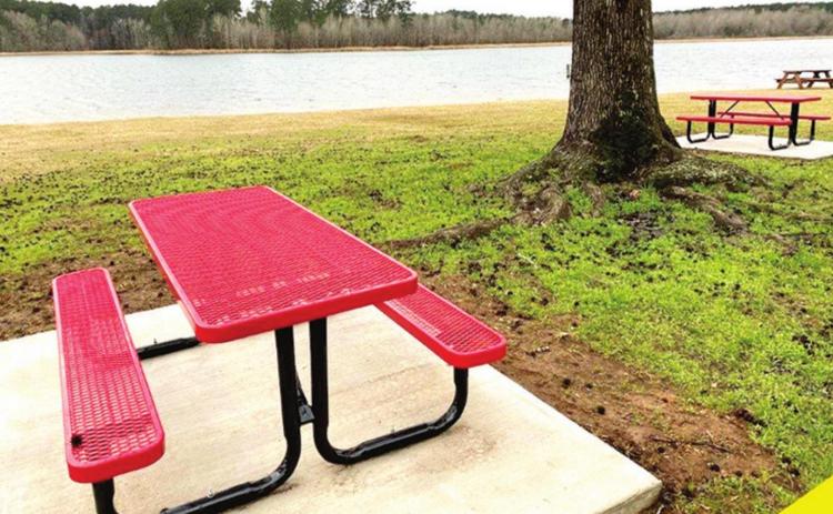Visitors to Lake Plain Dealing Park