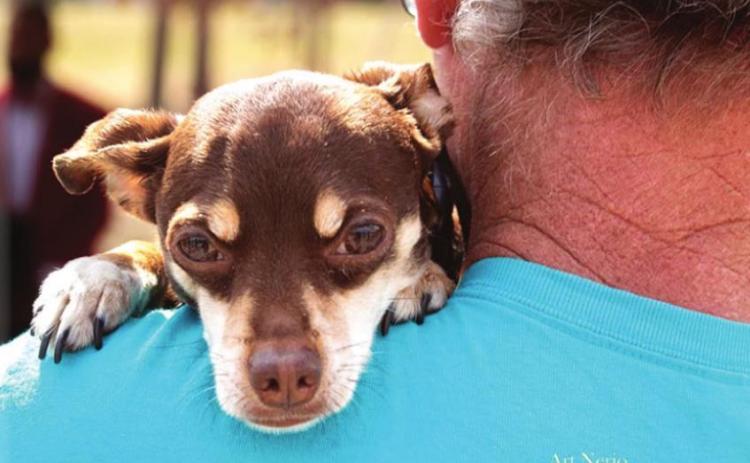 Southern Hills Dog Park Ground Breaking