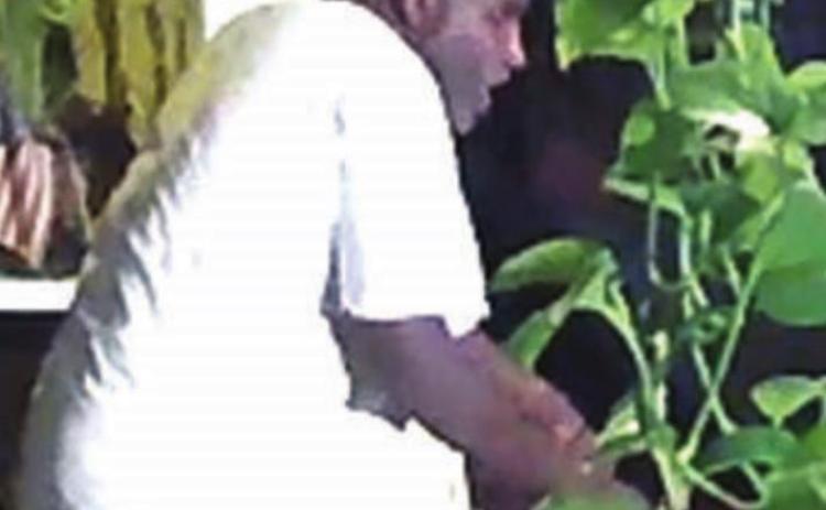 Vehicle burglary suspect sought