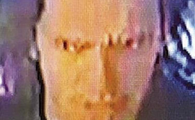 Credit card theft suspect sought
