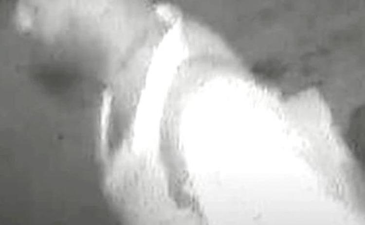 SPD looking for man who tried to break into liquor store