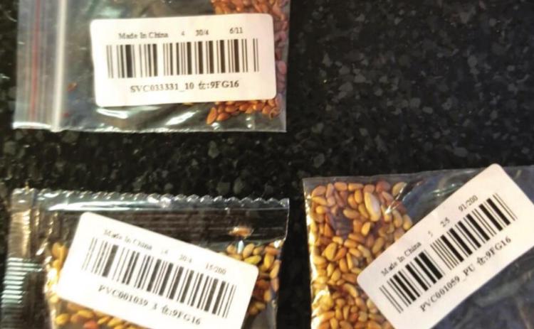 Mystery seeds delivered to Louisiana resident