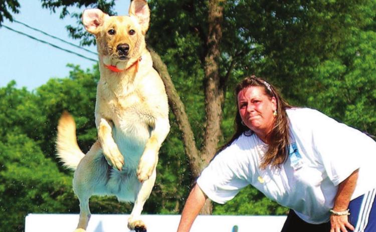 Super Retriever Series showcases top dogs