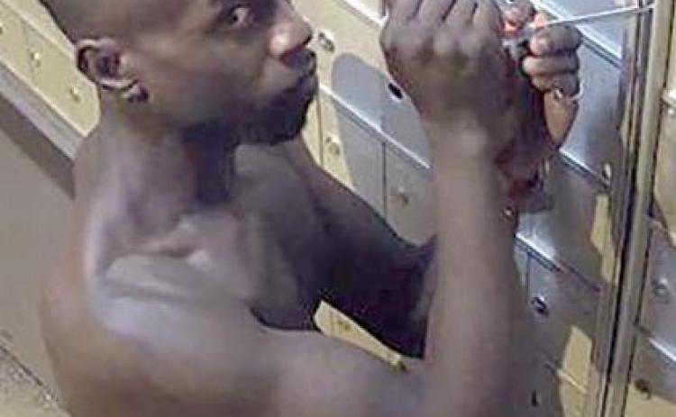 Police seek mail thief