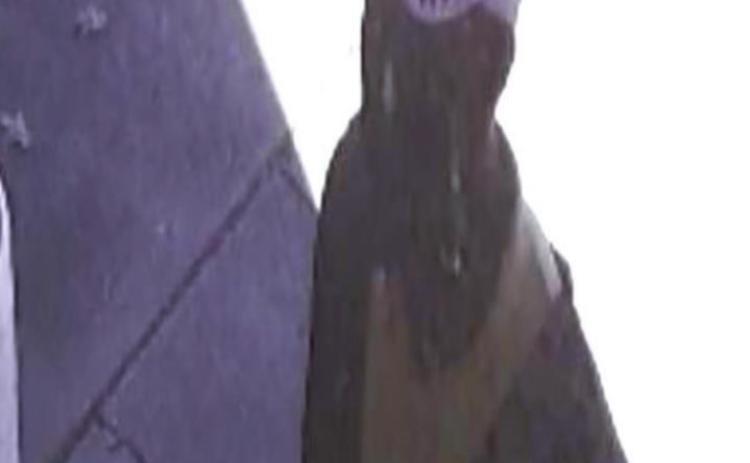 Police seek ID of theft suspect