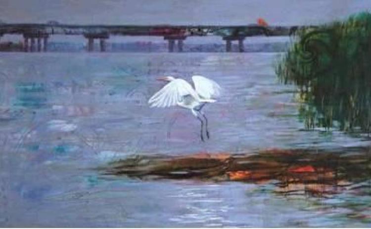 Shreveport Aquarium to host WAM event Nov. 6