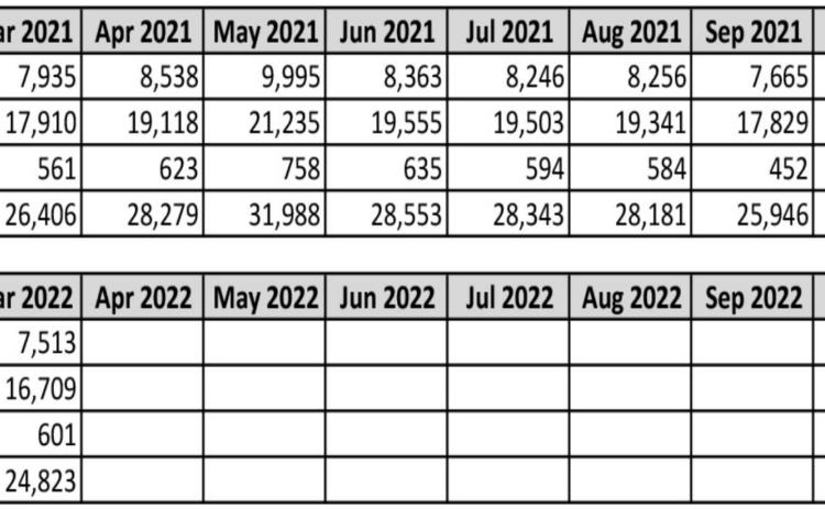 911 calls from Jan. 2021 to March 2022