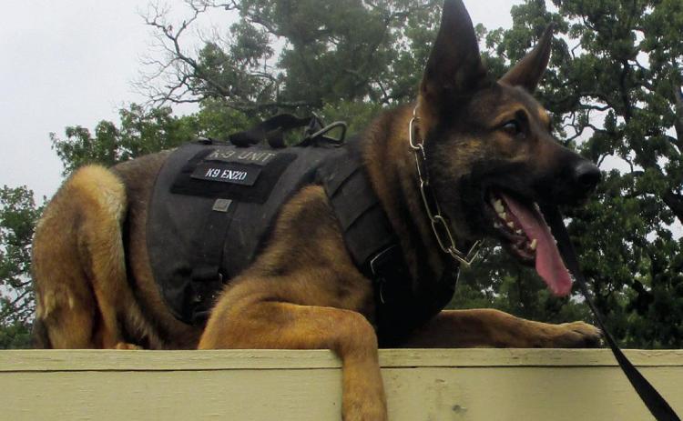 Here’s How You Can Support Shreveport’s K-9 Search & Rescue Team!