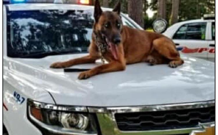 Shreveport Police K-9 dies of natural causes