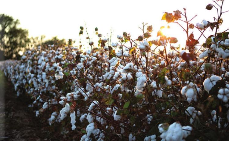 Fall Heritage & Harvest Tour