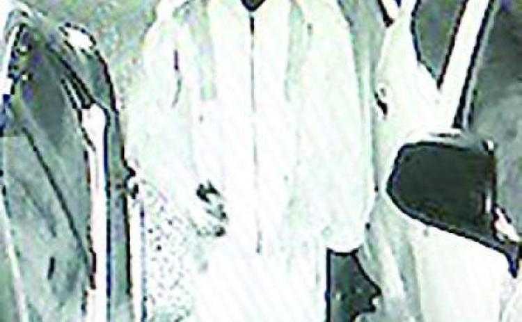 Suspect sought in Shady Grove vehicle burglaries