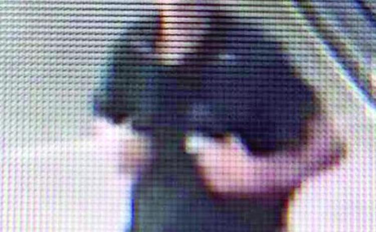 Suspected bike thief sought