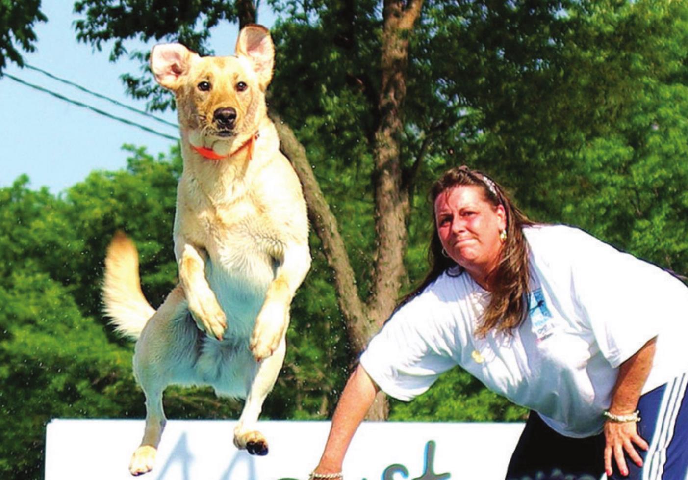 Super Retriever Series Showcases Top Dogs The Inquisitor