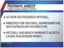 Whitehorn makes first arrest announcement with fentanyl bust!