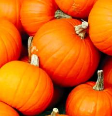 30-Second Read: The Great Pumpkin Foolishness