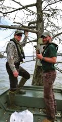 Duck banders, waterfowl hunters and public asked to be aware of bands, web-tags on wood ducks this fall, winter