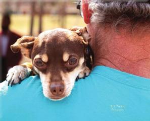 Southern Hills Dog Park Ground Breaking