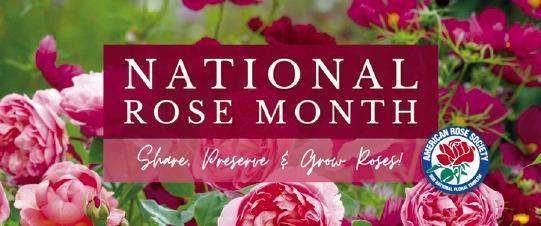 American Rose Society to Celebrate National Rose Month - June 2023