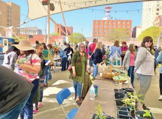 They came, they saw, they swapped, they bought and now their gardens grow ...