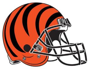 AFC and NFC Championship!