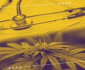 LSU Shreveport Offers Medical Cannabis Training for Counselors