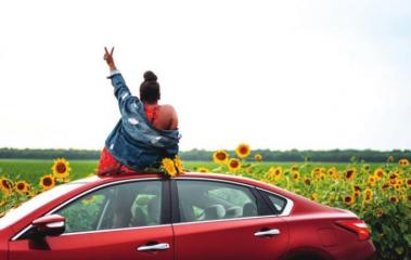 Good news and bad news: Sunflower Trail is happening, Sunflower Festival is not