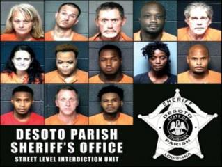 DeSoto SLIU arrests 13 on drug charges