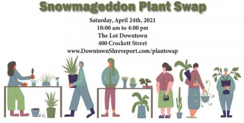 Greening Up Our Community: A Downtown Plant Swap