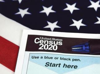 What Is the 2020 Census?