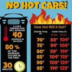 Shreveport Police Rescue Infants from Sweltering Car; Two Arrested for Child Desertion