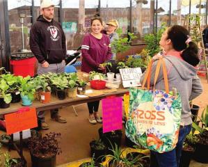 They came, they saw, they swapped, they bought and now their gardens grow ...